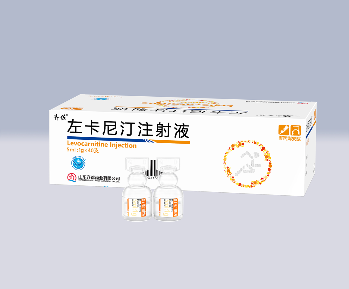 Levofloxacin Hydrochloride and Sodium Chloride Injection