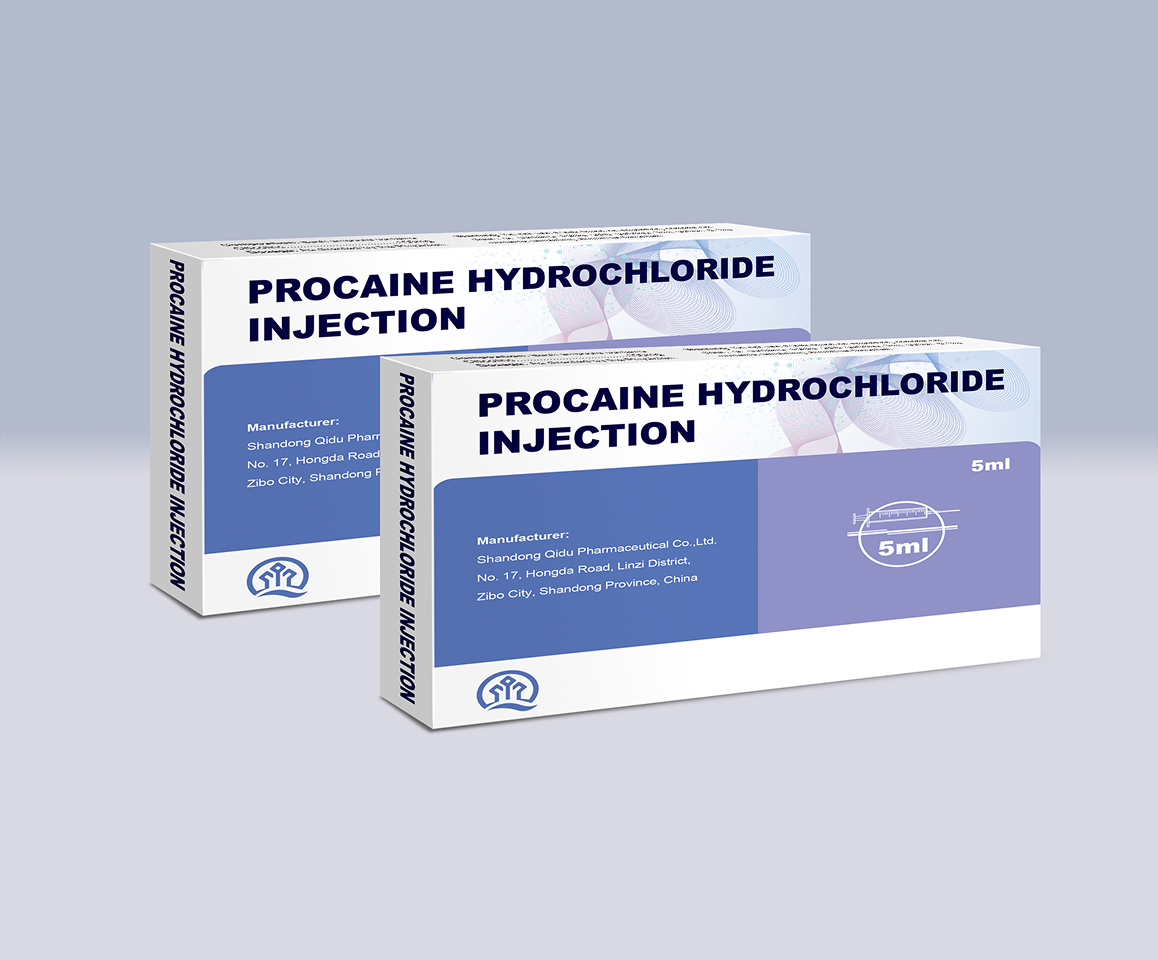 Levofloxacin Hydrochloride and Sodium Chloride Injection