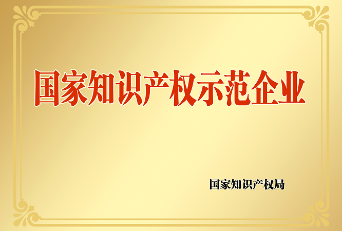 06国家知识产权示范企业.png