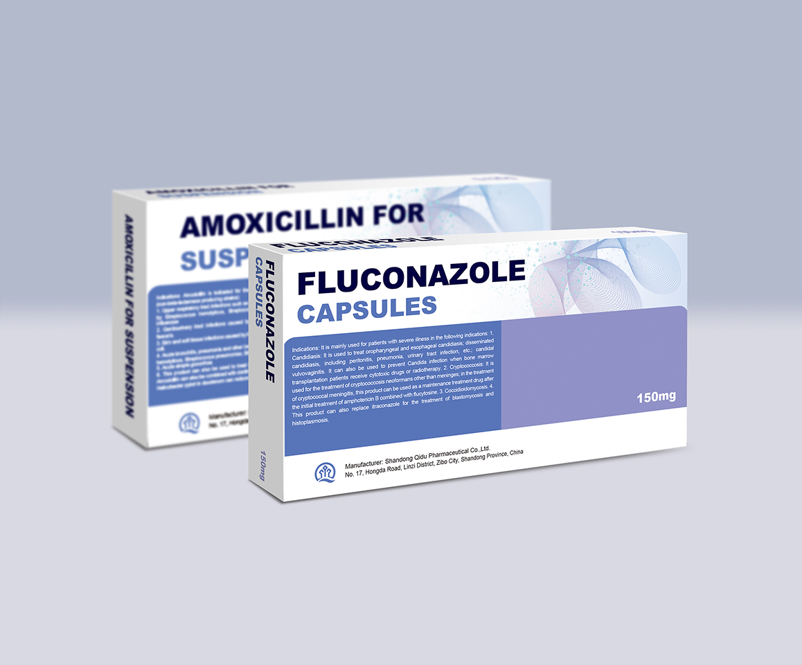 Levofloxacin Hydrochloride and Sodium Chloride Injection