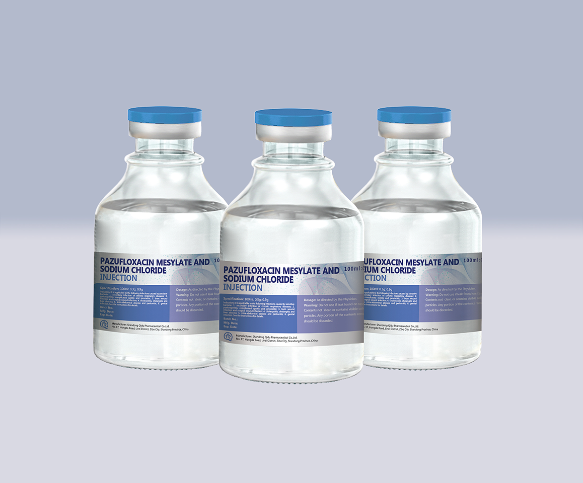 Levofloxacin Hydrochloride and Sodium Chloride Injection
